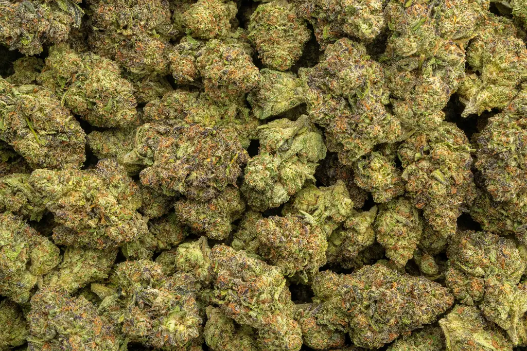 Caramellow Kush