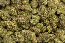 Caramellow Kush