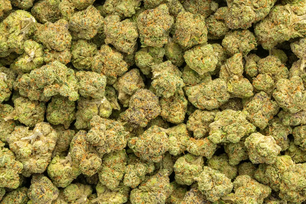 Super Runtz Indoor Smalls
