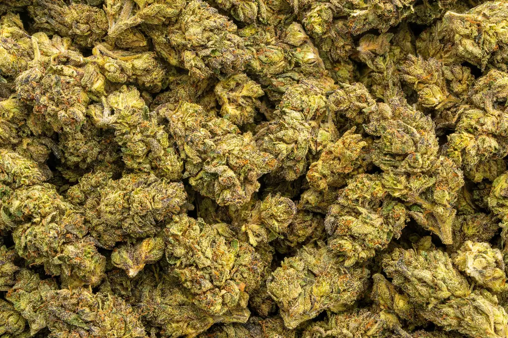 Sherbet Cream Pie