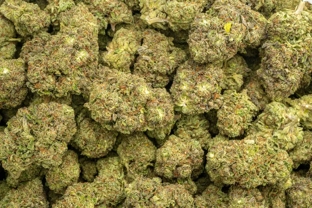 Zahiti Lime