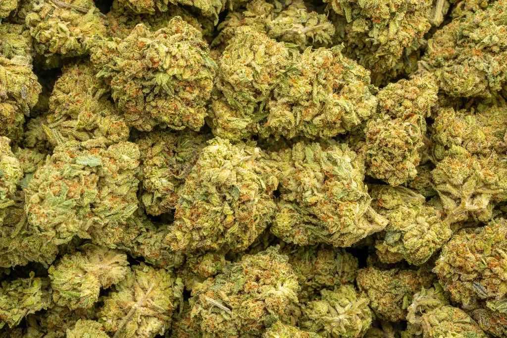 Sweet Cheese