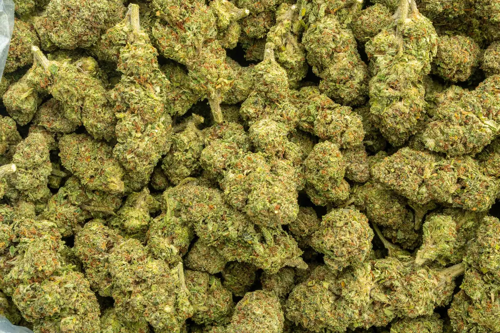 Karamel Candy