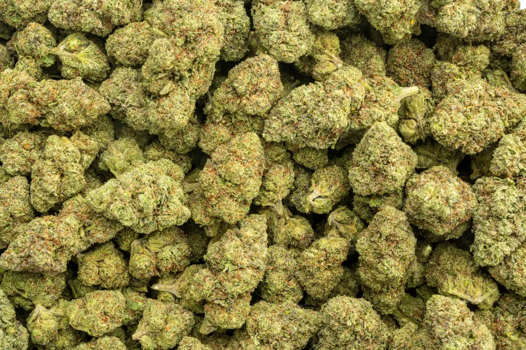 Sunset Sherbet