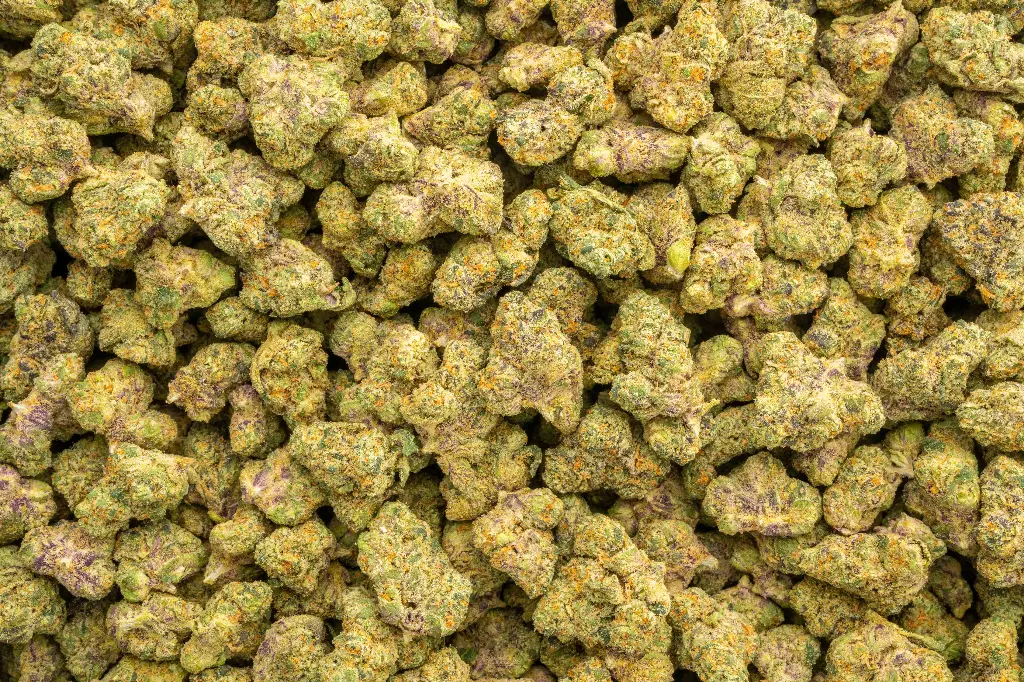 Jet Fuel Indoor Mediums
