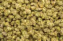Jet Fuel Indoor Mediums