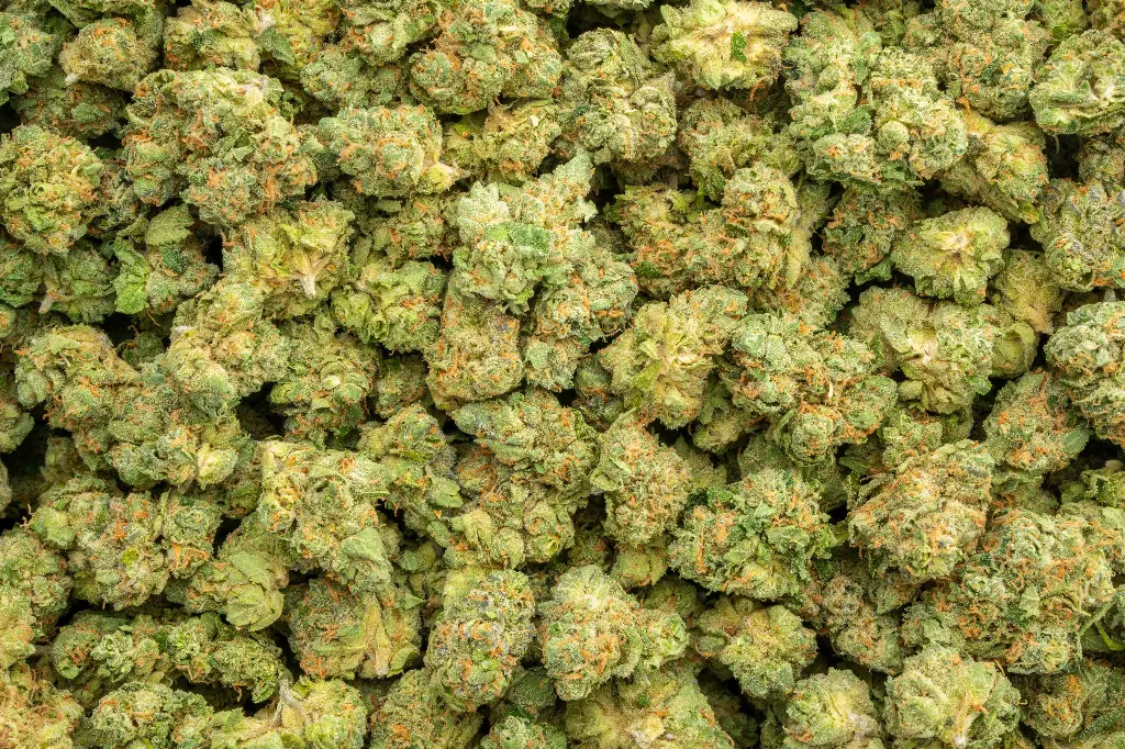 Gary Zkittles Indoor Mediums