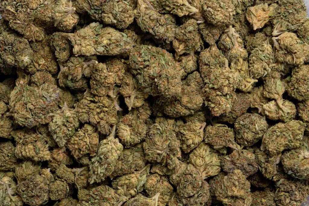 Bubba 59 (CBD)