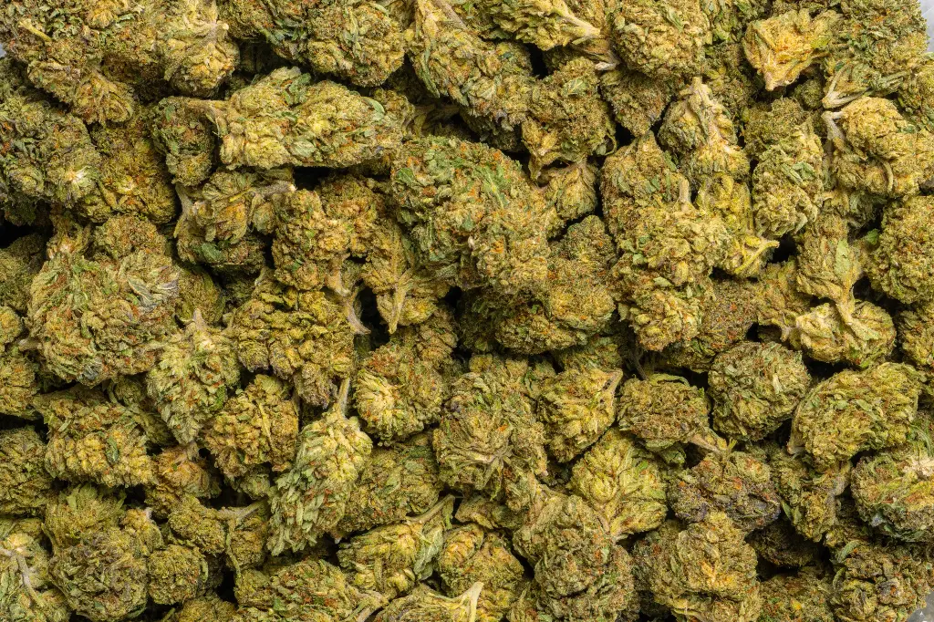 Bubba 59 (CBD)