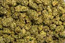 Bubba 59 (CBD)