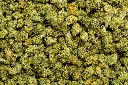 Bubba 59 Smalls (CBD) 