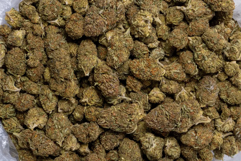 Bubba Kush (CBD) 