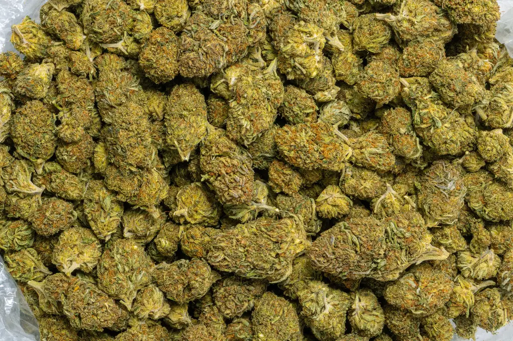Bubba Kush (CBD) 