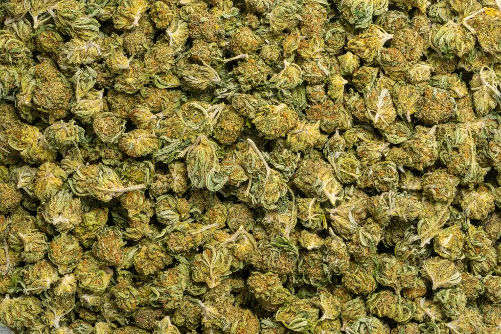 Bubba Smalls (CBD)