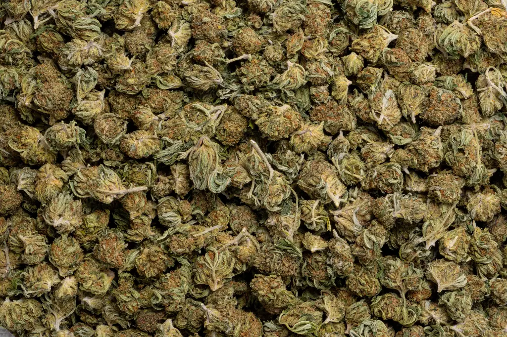 Bubba Smalls (CBD)