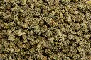 Bubba Smalls (CBD)