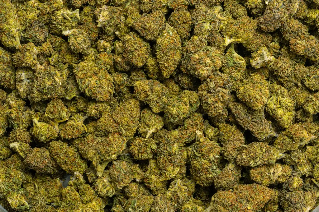 Cakeberry (CBD)