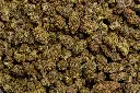 Cakeberry (CBD)