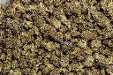 Cheetah Pizz Smalls (CBD)