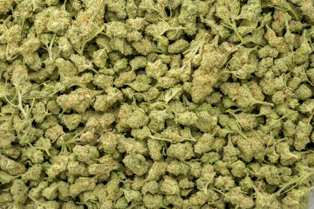 Dante's Inferno Indoor Smalls