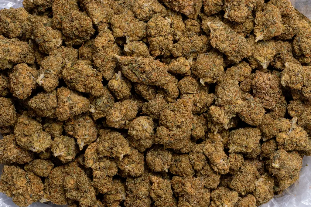 Diesel (CBD) 