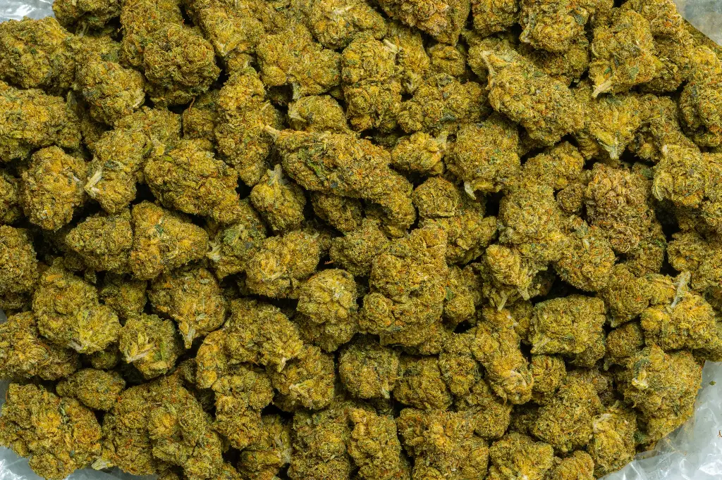 Diesel (CBD) 