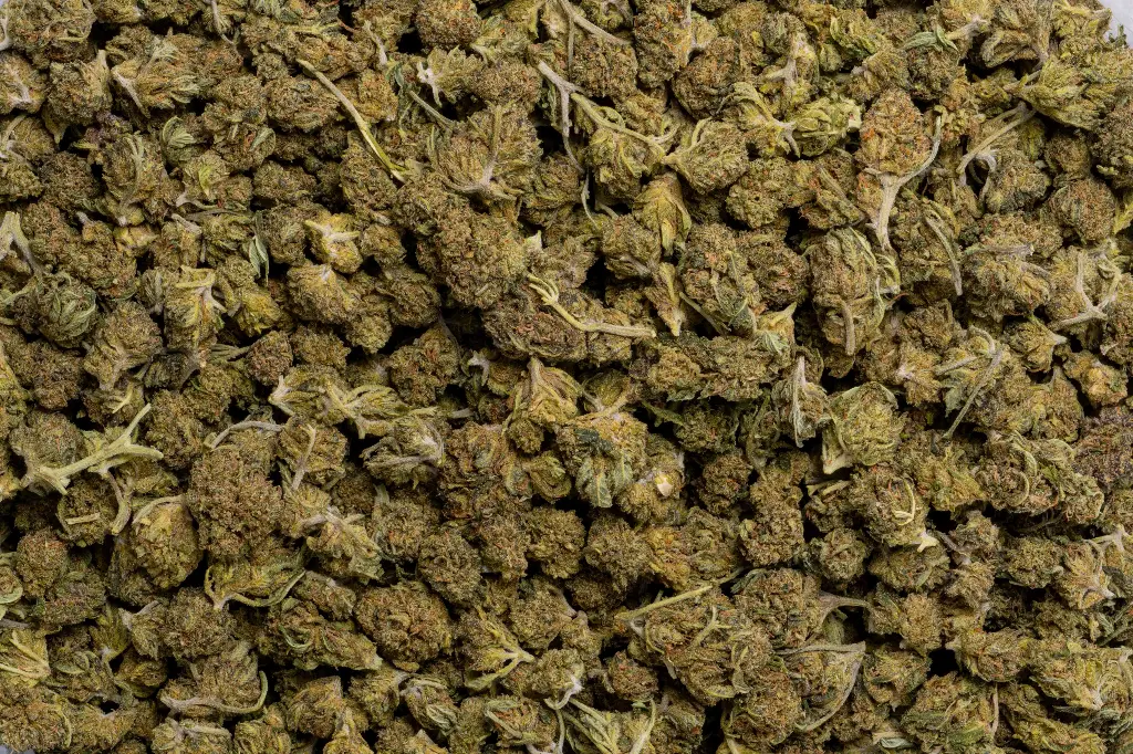 Diesel Smalls (CBD)