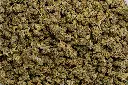 Diesel Smalls (CBD)
