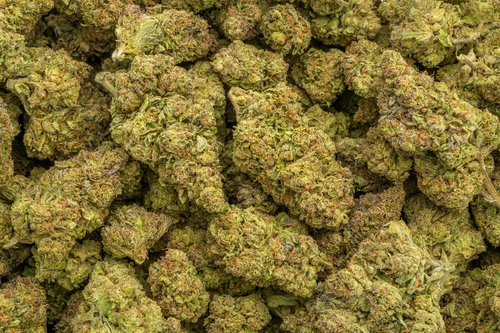 Dolce Gelato