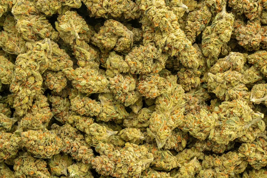 Dosidos