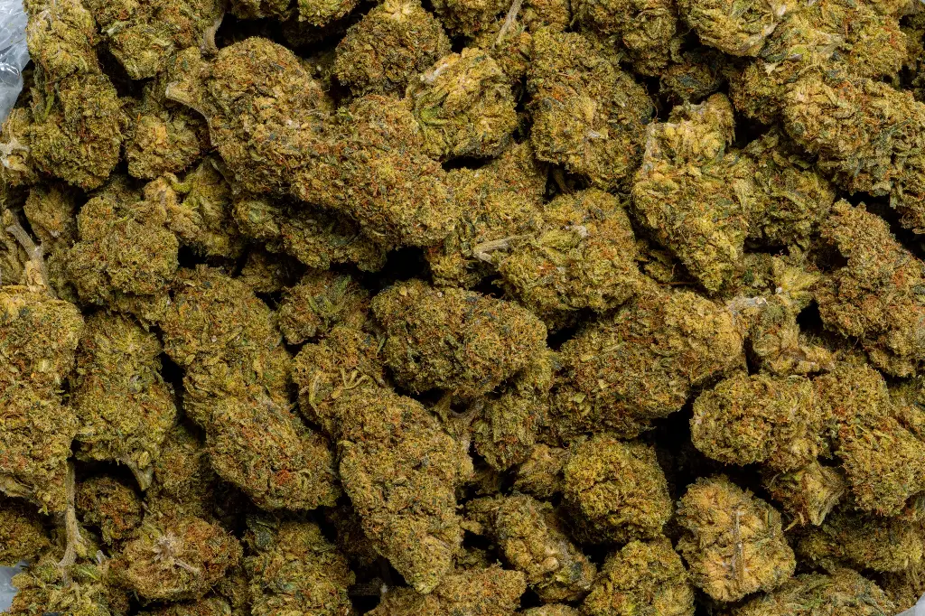 Elektra (CBD)