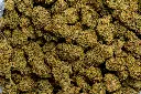 Elektra (CBD)