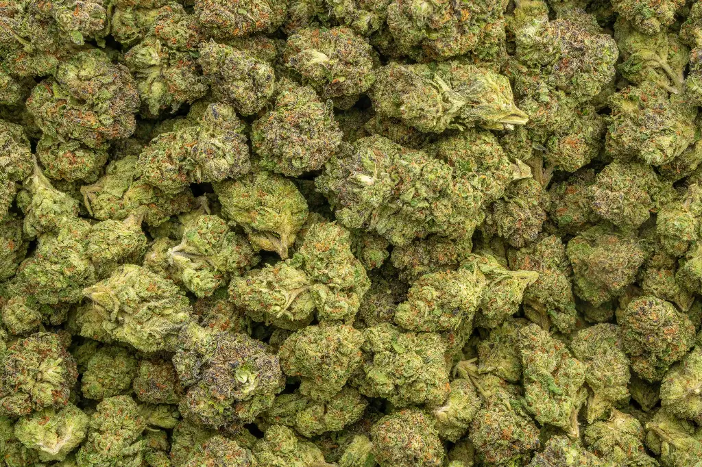Forbidden Fruit
