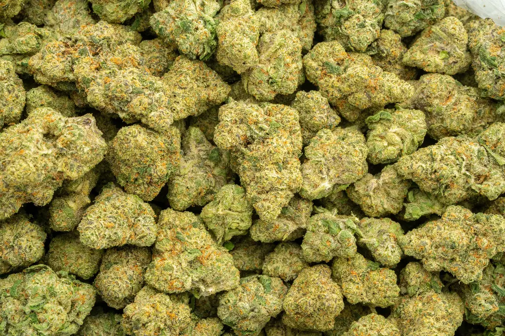 Future Haze Indoor
