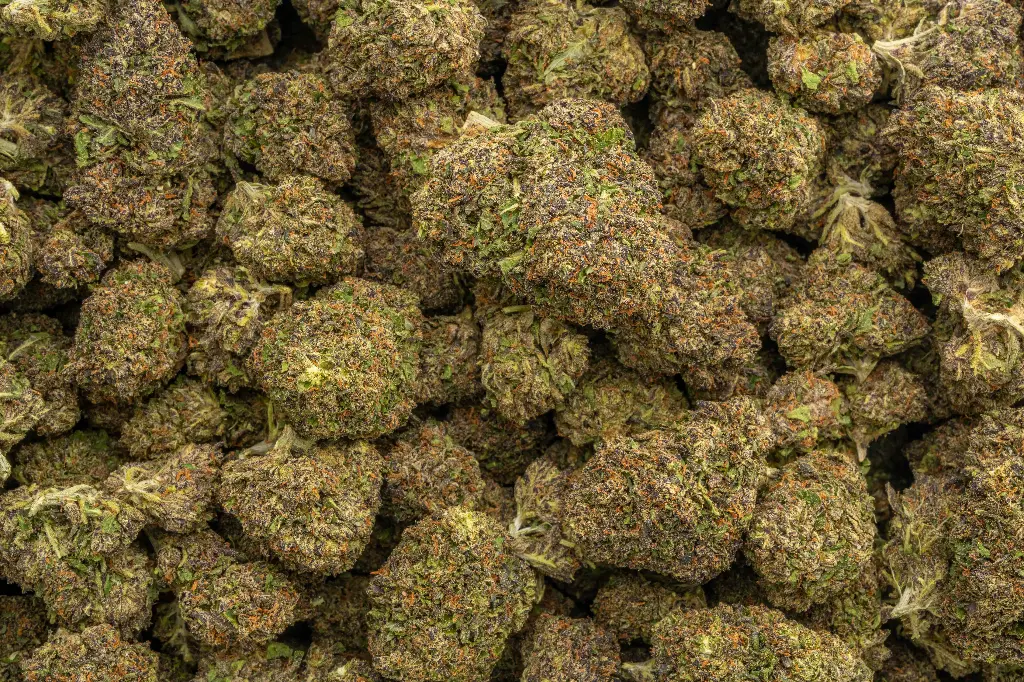 Gelato Cake