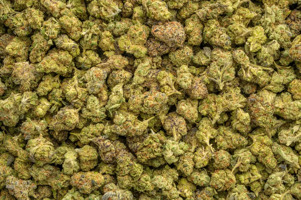 Ghost Train Haze Smalls