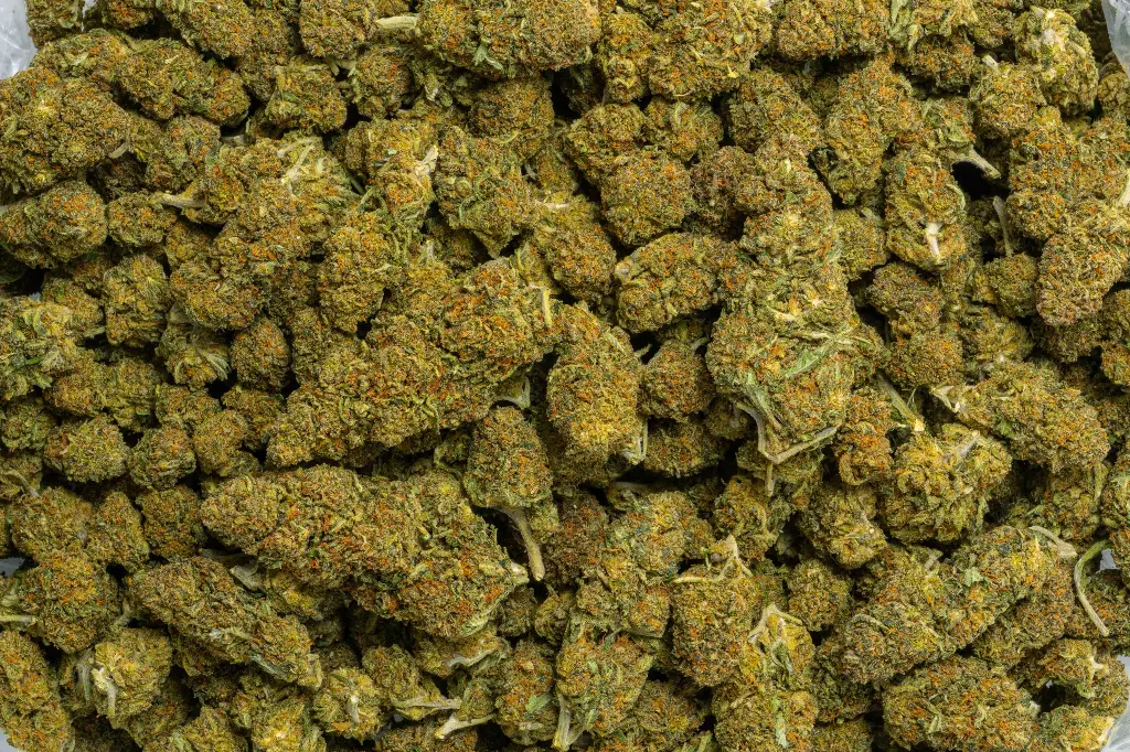 Godfather (CBD)