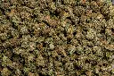 Godfather Smalls (CBD)