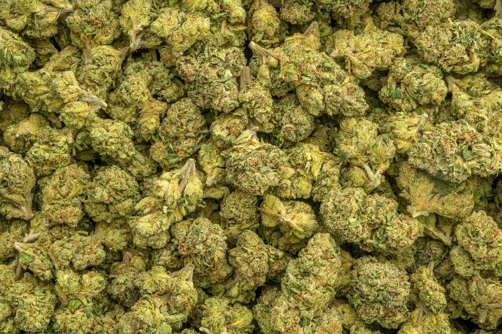Green Crack