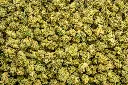 Green Crack Smalls