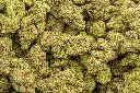 Sour Kush Breath