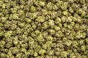 Gummiez Indoor Smalls