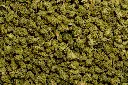 Tuscan Gelato Smalls