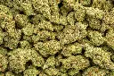 Sour Patch Candy Indoor