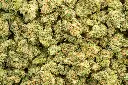 Blue Dream Indoor Mediums