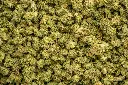 Banana Nose Candy Smalls