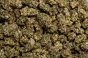 Bubba 59 (CBD)