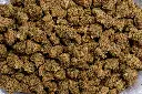 Diesel (CBD) 