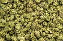 Garlic Truffle Smalls