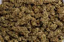 Godfather (CBD)